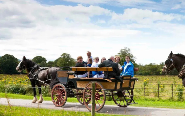 Madams Hill House Killarney