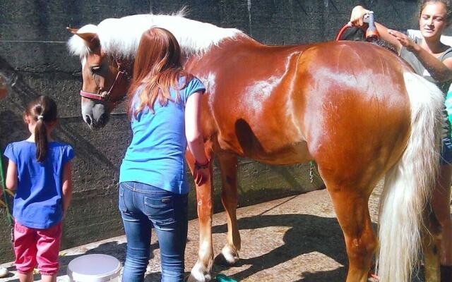 the Veitenhof Comfortable Holiday Residence