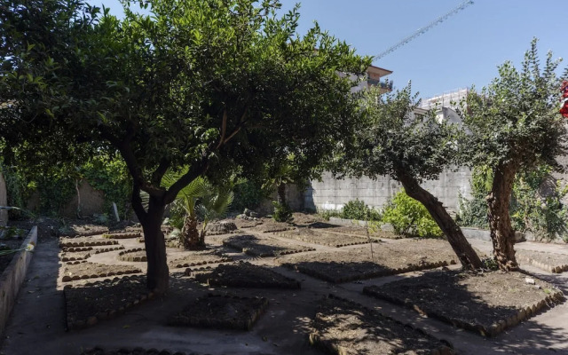 Urban Garden Apartment