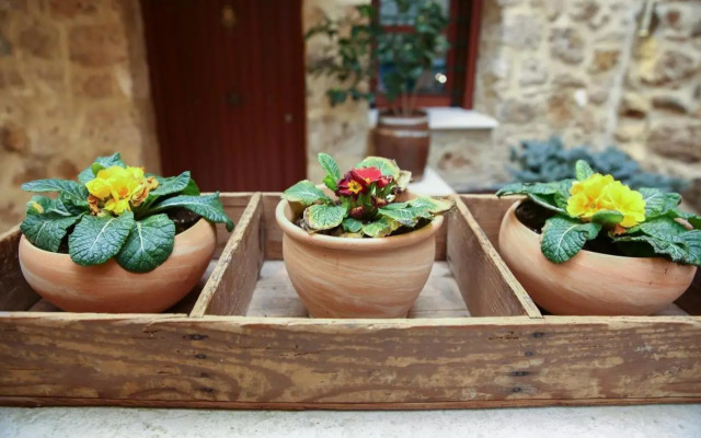 The House by the River