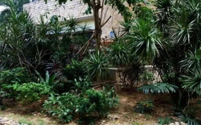 三亚大东海半岛蓝湾海景度假公寓