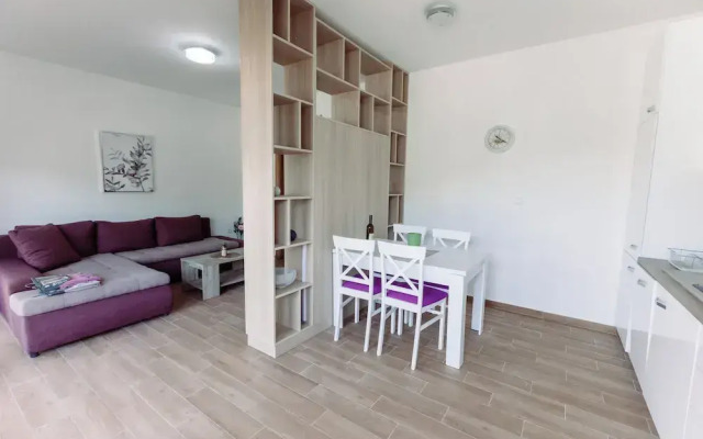 Waterfront Apartment Petrovina