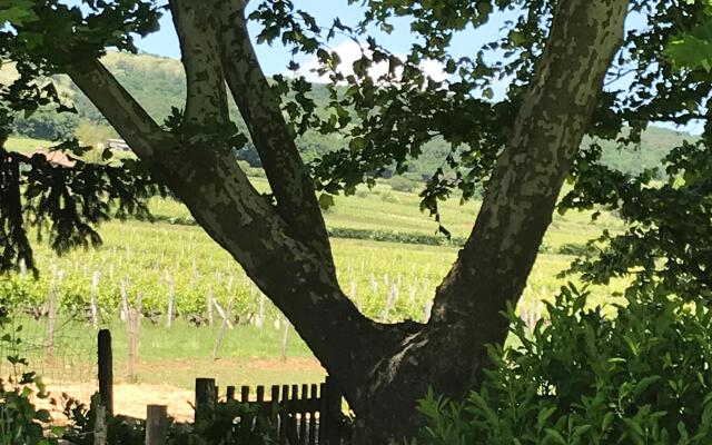 Le Relais de Scissé