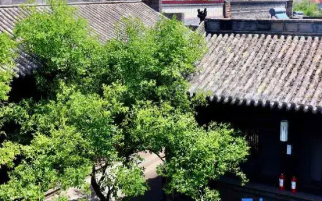 Elsewhere Hotel Inn North Street Branch