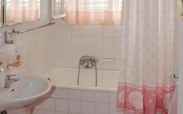 Boris - With Pool - A2