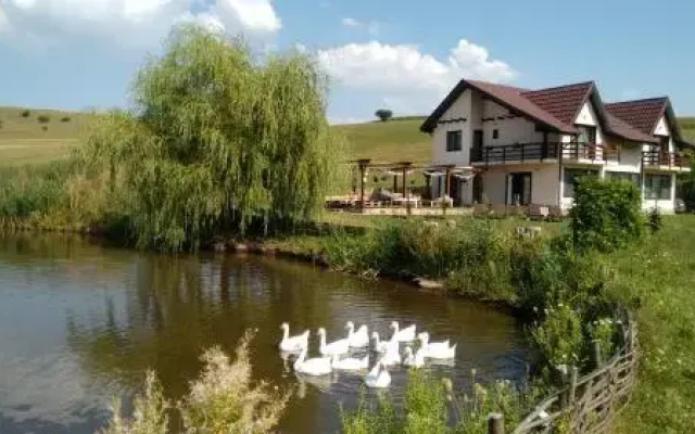 Complex Turistic Potocina