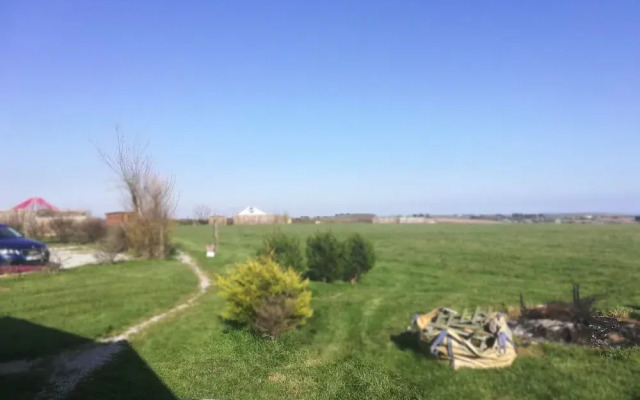 Buzzard Yurt