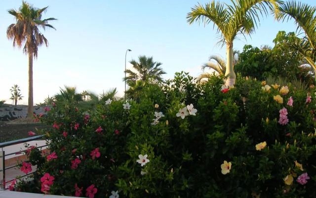Parque don José 341
