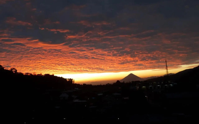 Bajawa-Roo Hotel