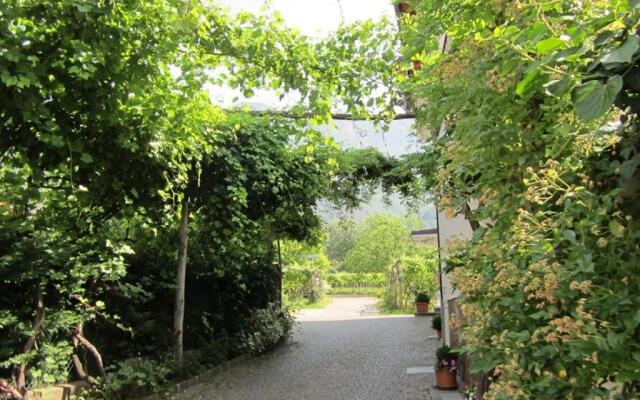 Weingarten Terlan - Rooms & Breakfast