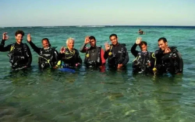 Dive Urge