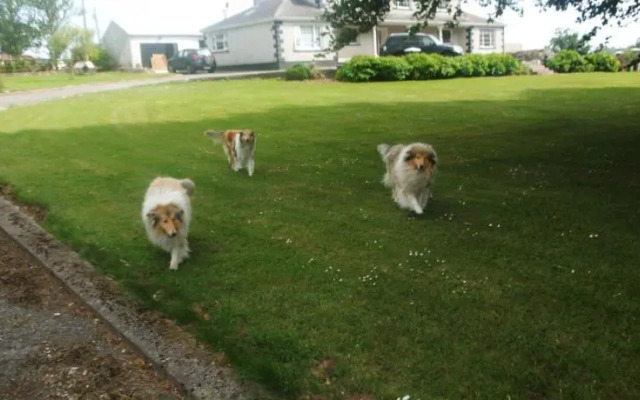 Minnocks Country Home