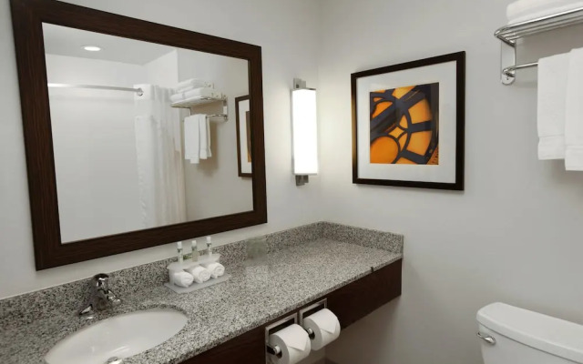 Holiday Inn Express Ralston - Arena Area