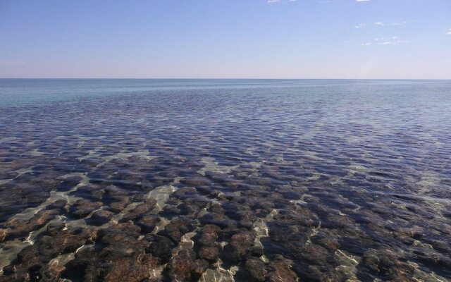 Hamelin Pool Caravan Park