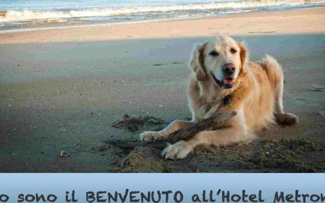 Hotel Metron
