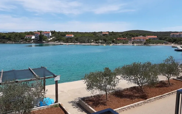 Sea Turtle Apartments