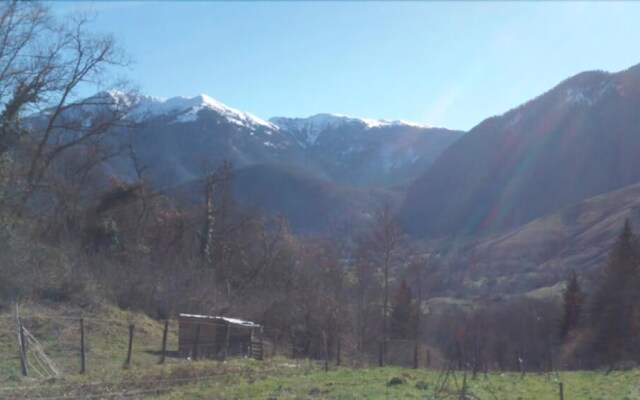 Les Insolites d'Eljie