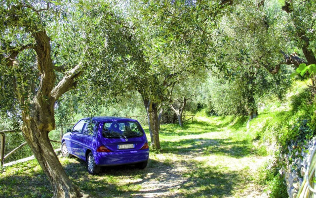 Olivotto Finale Ligure