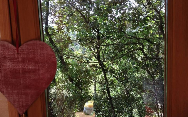 La Cabane Des Amoureux