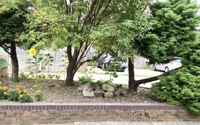 Grace Apartments - Living Stream 1
