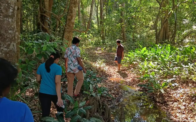 Arippa Eco Tourism-Stay Inside Forest