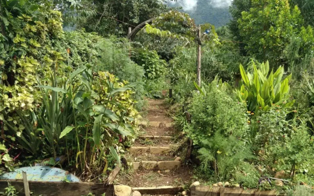 Sitio Alecrim Casa de Cura e Hospedagem