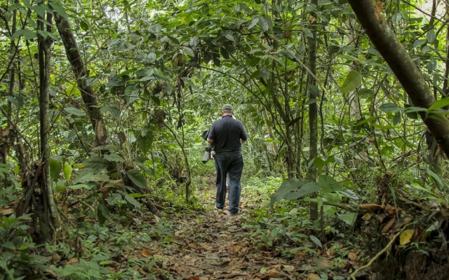 Jungle Experiences La Perla