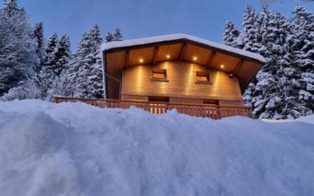 Chalet Aravis