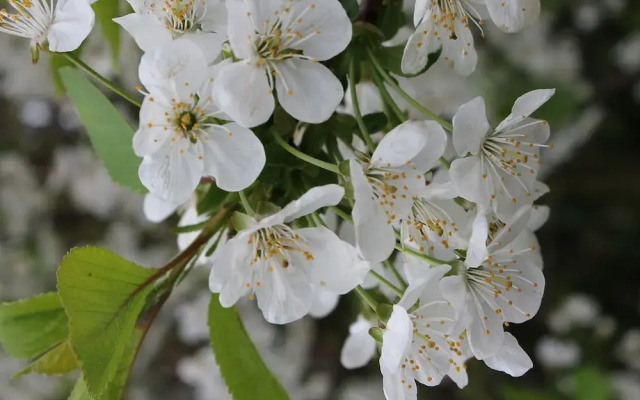 Rustic Apartment in Biendorf With Sauna