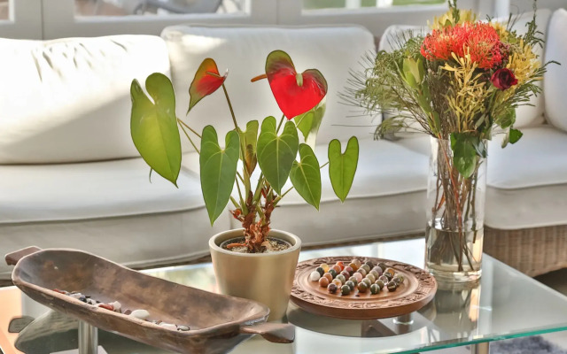 Abington Manor - Fish Hoek Guesthouse