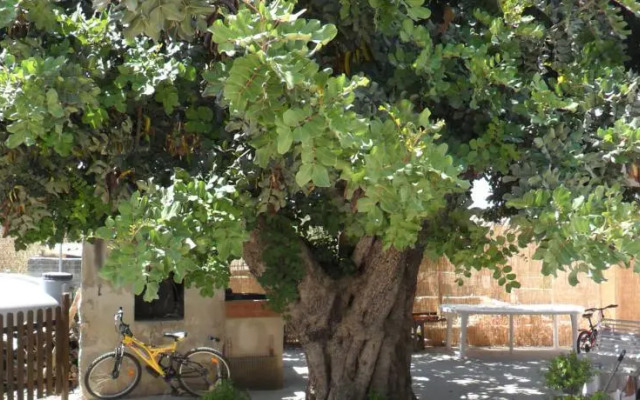 Appartamenti Carrubba