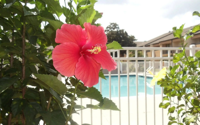 Quality Inn & Suites Pensacola Bayview