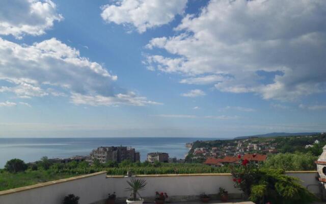 Villa Byala Grape House