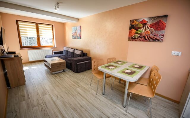 Apartamenty Sun & Snow Zielona