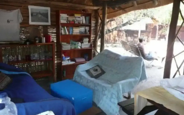 Offbeat Safaris