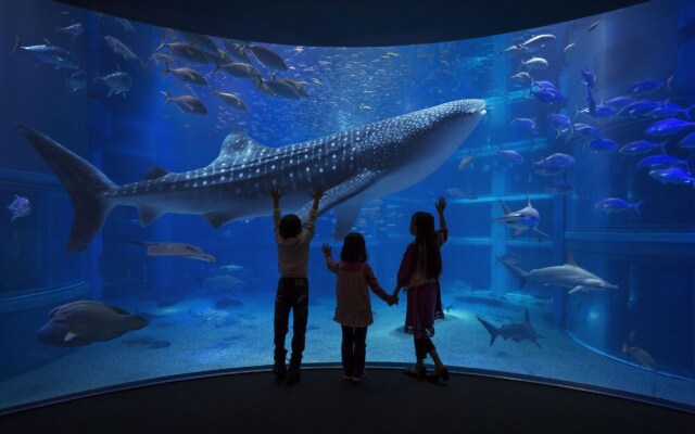 Dotonbori Nipponbashi Large Room M2