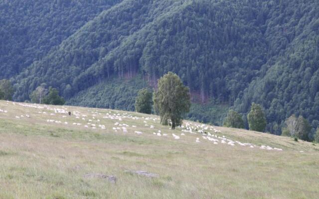 Pension Curmatura Stezii