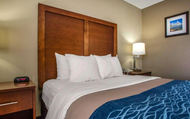 Comfort Inn & Suites Jackson - West Bend