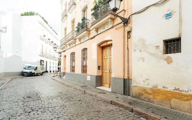 AlohaMundi Zaragoza IV