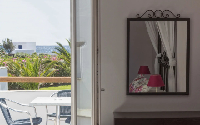 Dolphin Kastraki Studios