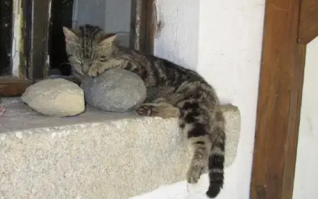 Bio Ferienhof Erzengel