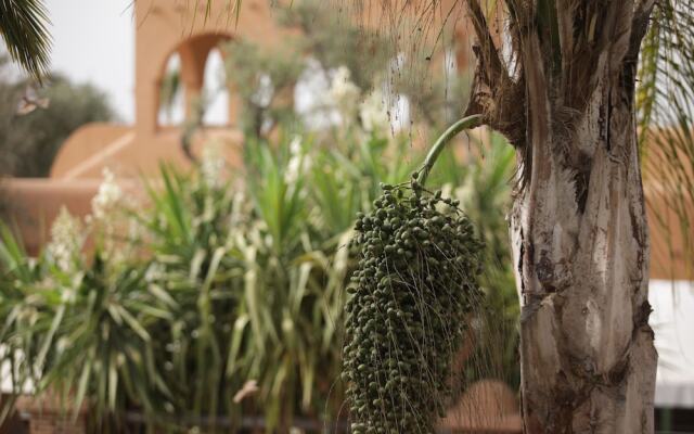 Dar Gonzo Resort & Spa