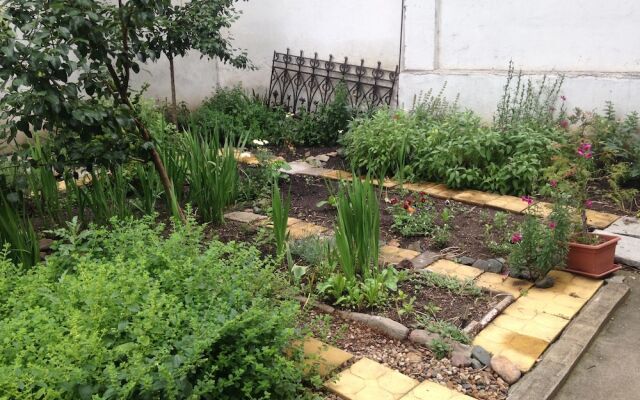 Elysia Hostel - The Blessed Home