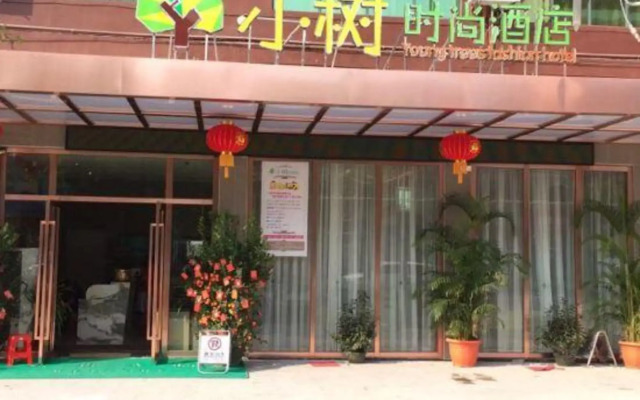 Young Trees Fashion Hotel