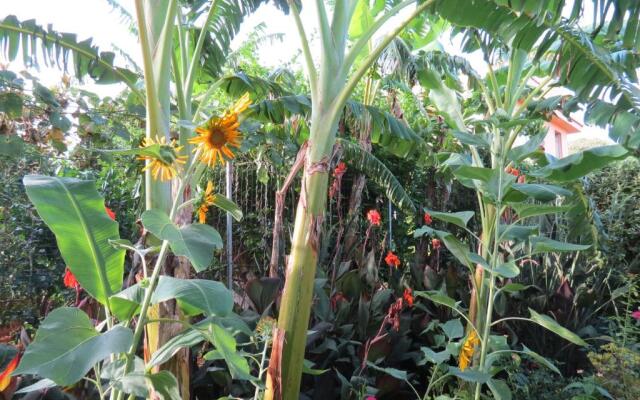 Il Roseto di Betty Appartamento in villa S1