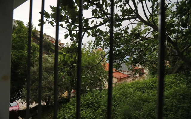 Terranova