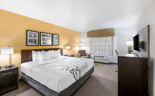 Sleep Inn & Suites Carlsbad Caverns Area