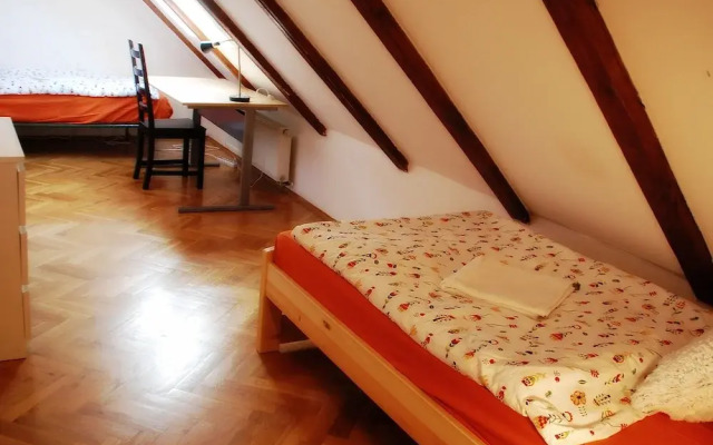 Generous Attic Apartment