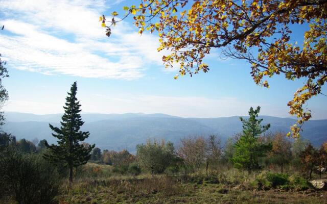 Casa di Santi - Appartamento La Cinciallegra