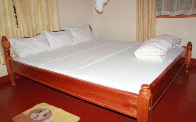 The Pink Daisy Bed and Breakfast